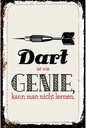 Holzschild 18x12 cm Dart Genie kann man nicht lernen