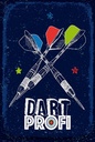 Holzschild 18x12 cm Sportart Dart Profi Dartpfeile