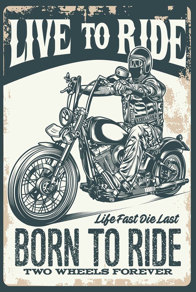 Holzschild 18x12 cm Biker Motorrad born to ride