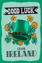 Holzschild 18x12 cm Good Luck From Ireland