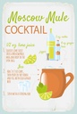 Holzschild 18x12 cm Moscow Mule Cocktail Recipe