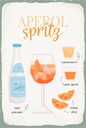Holzschild 18x12 cm Aperol Spritz Cocktail Recipe