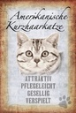 Holzschild 18x12 cm Americanische Katze Kurzhaar