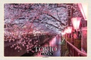 Holzschild 12x18 cm Tokio Japan Kirschblüten Bäume Fluss Bildmotiv Reisemotiv Abenteuer Reisen