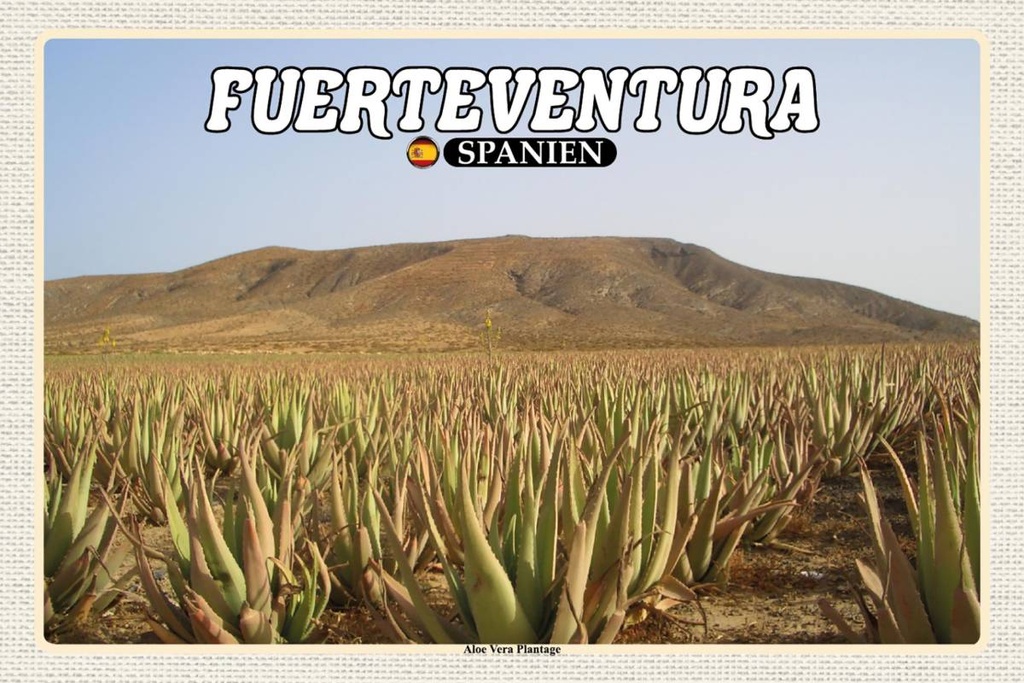 Holzschild 12x18 cm Fuerteventura Spanien Aloe Vera Plantage Bildmotiv Reisemotiv Abenteuer Reisen
