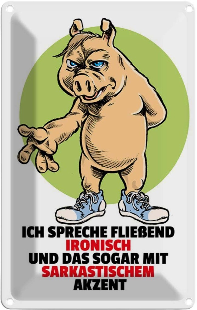 [LA-111941-2030] Blechschild 30x20 cm Spreche fließend ironisch Dekoration Spruch Zitat