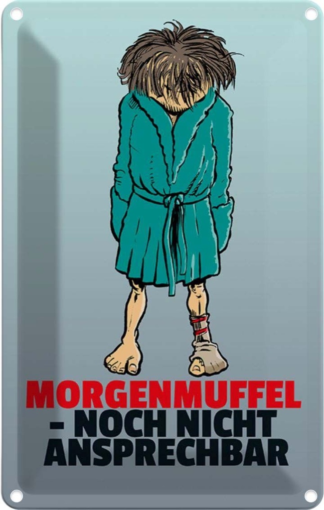 [LA-111971-2030] Blechschild 30x20 cm Morgenmuffel noch nicht ansprechbar Spruch Zitat