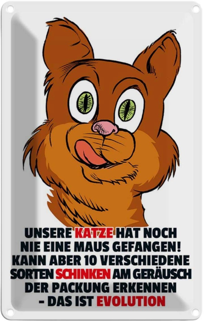 [LA-111984-2030] Blechschild 30x20 cm Katze hat noch nie Maus gefangen Tier Haustier