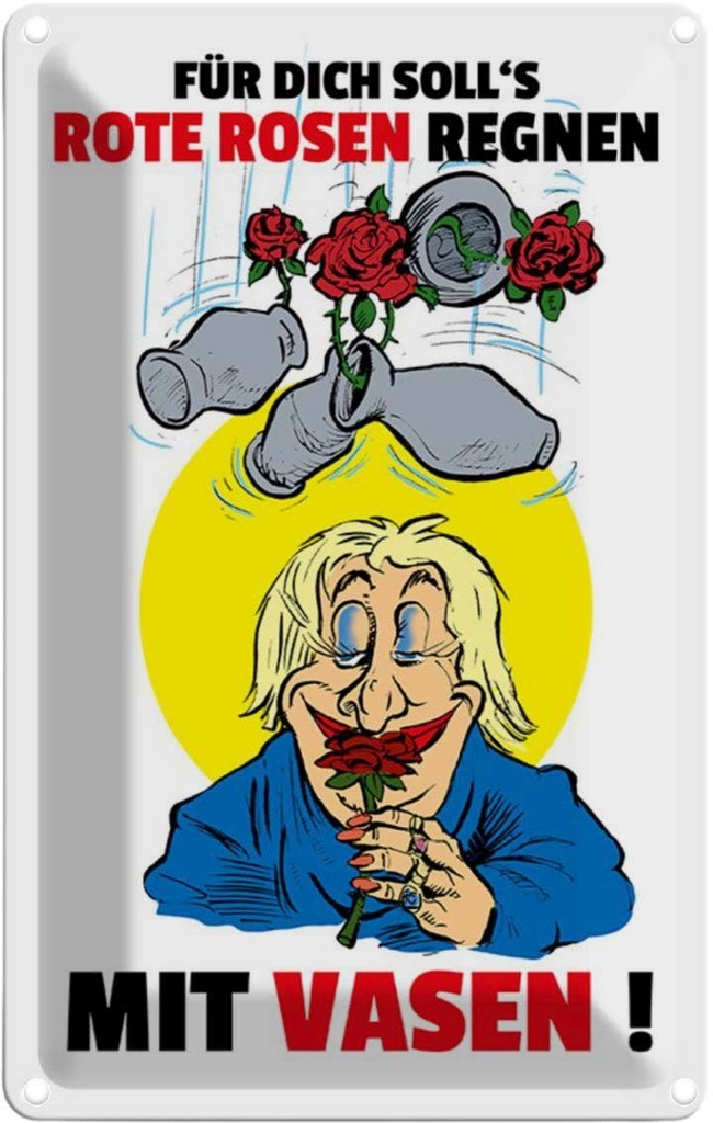 [LA-112035-2030] Blechschild 30x20 cm Für dich Rosen regnen mit Vasen Spruch Zitat