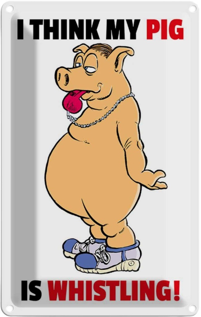 [LA-112068-2030] Blechschild 30x20 cm I think my pig's whistling Schwein Spruch Zitat
