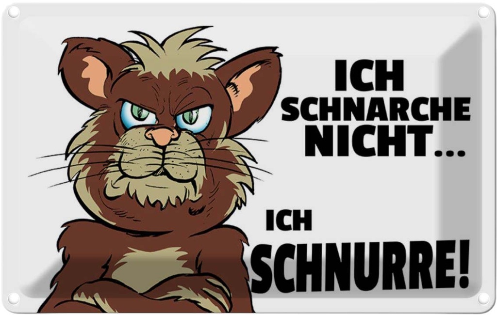 [LA-112144-2030] Blechschild 20x30 cm ich schnarche nicht schnurre Spruch Zitat