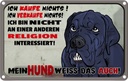 Blechschild 20x30 cm ich kaufe nichts Mein Hund weiß Spruch Zitat