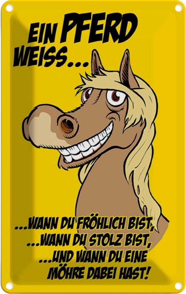 [LA-112217-2030] Blechschild 30x20 cm Ein Pferd weiss wann fröhlich Tier Haustier
