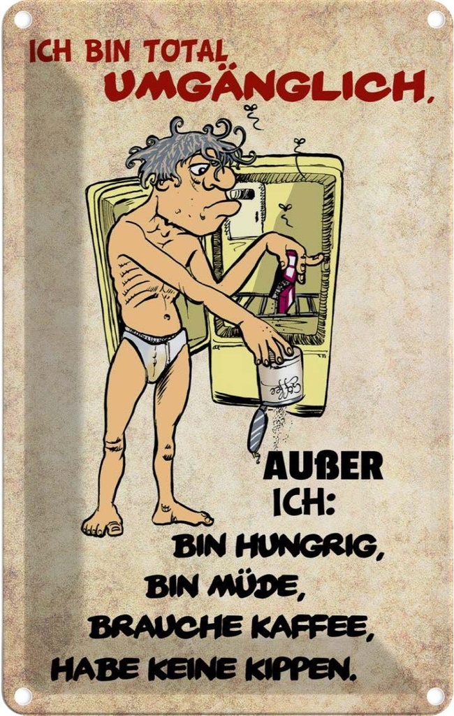 [LA-112400-2030] Blechschild 30x20 cm bin total umgänglich außer Dekoration Spruch Zitat