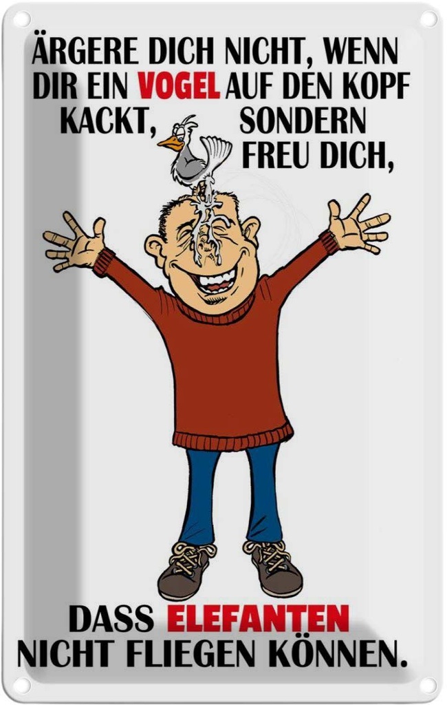 [LA-112402-2030] Blechschild 30x20 cm ärgere dich nicht wenn ein Vogel Spruch Zitat