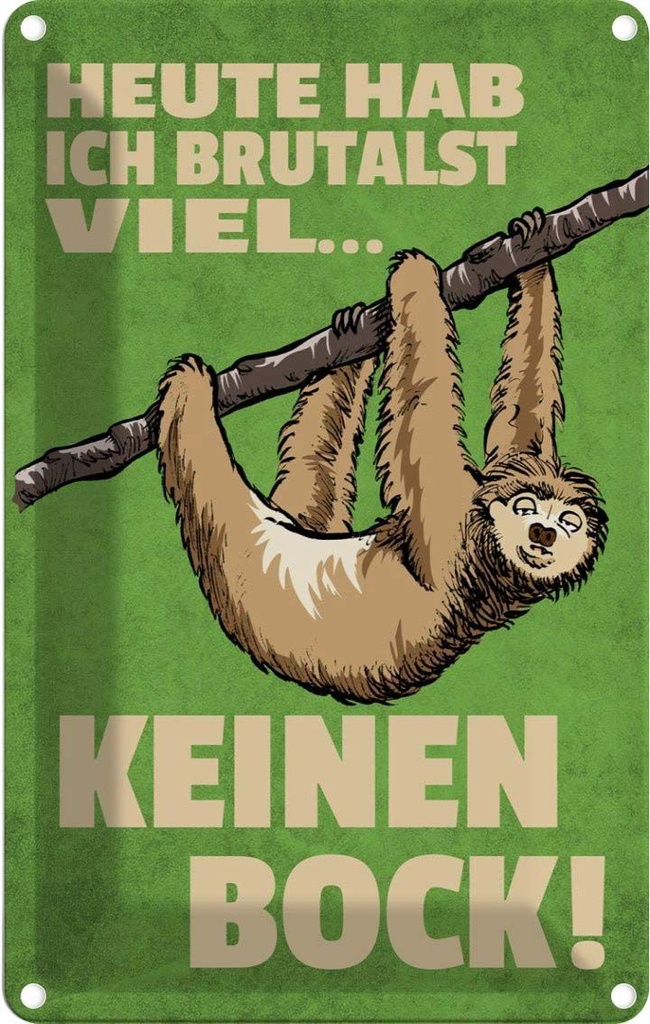 [LA-112464-2030] Blechschild 30x20 cm heute habe ich brutalst viel Dekoration Spruch Zitat