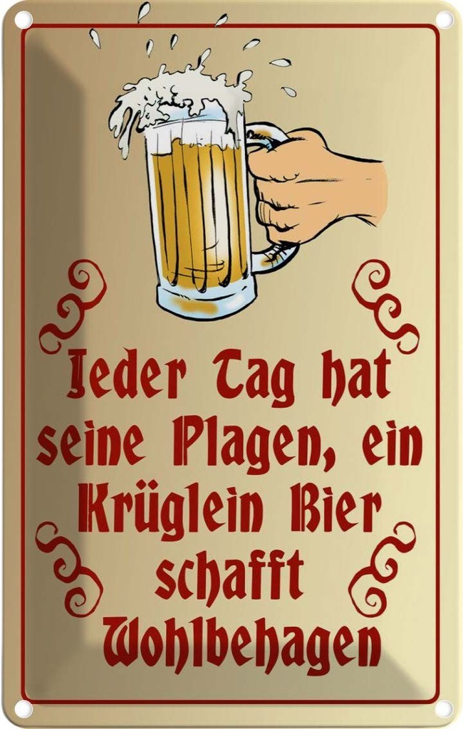 [LA-112491-2030] Blechschild 30x20 cm Jeder Tag hat seine Plagen Bier Spruch Zitat
