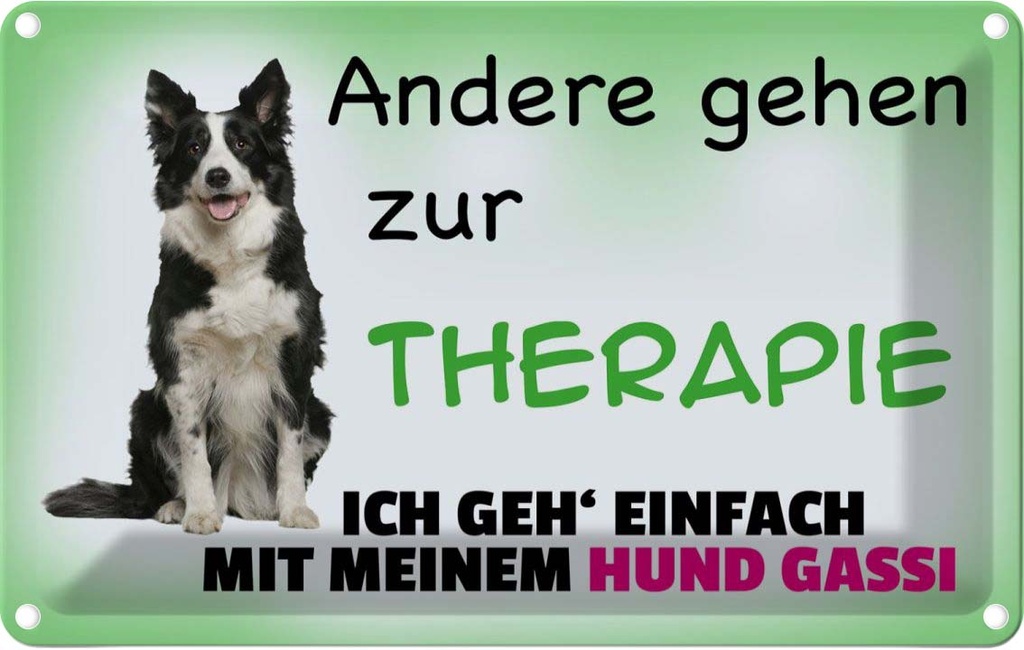 [LA-112502-2030] Blechschild 20x30 cm ich geh' mit meinem Hund Gassi Tier Haustier