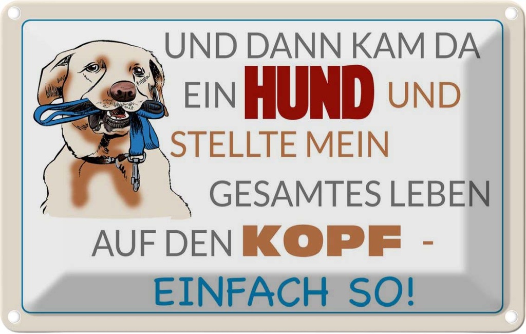 [LA-112507-2030] Blechschild 20x30 cm und dann kam da ein Hund Tier Haustier
