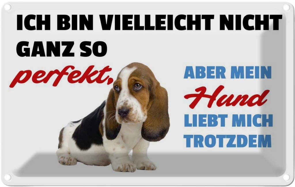 [LA-112521-2030] Blechschild 20x30 cm mein Hund liebt mich trotzdem Tier Haustier