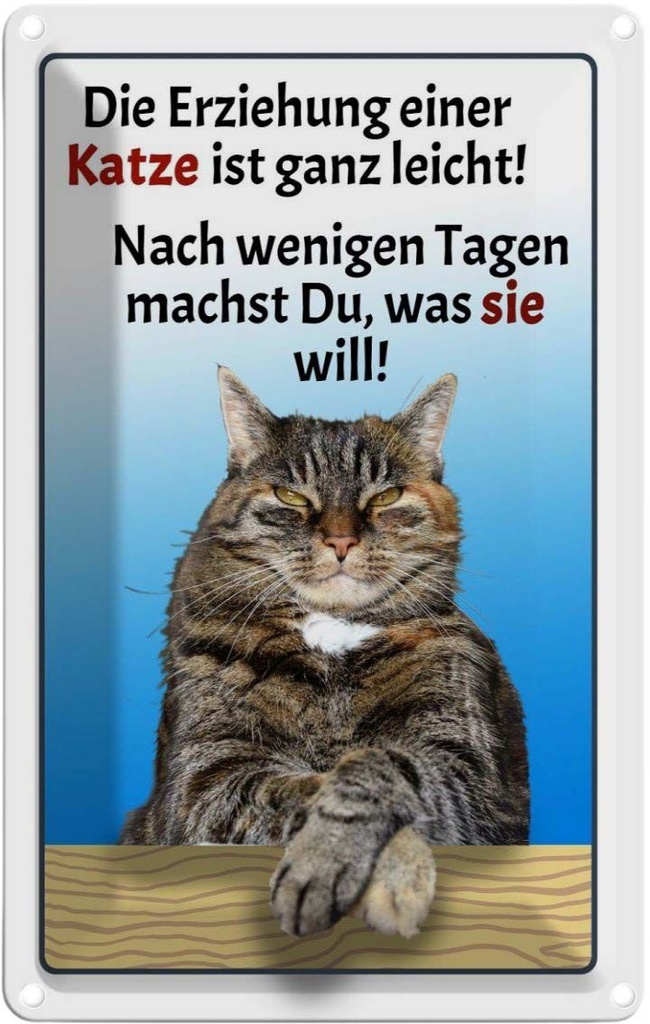 [LA-112570-2030] Blechschild 30x20 cm die Erziehung einer Katze leicht Spruch Zitat