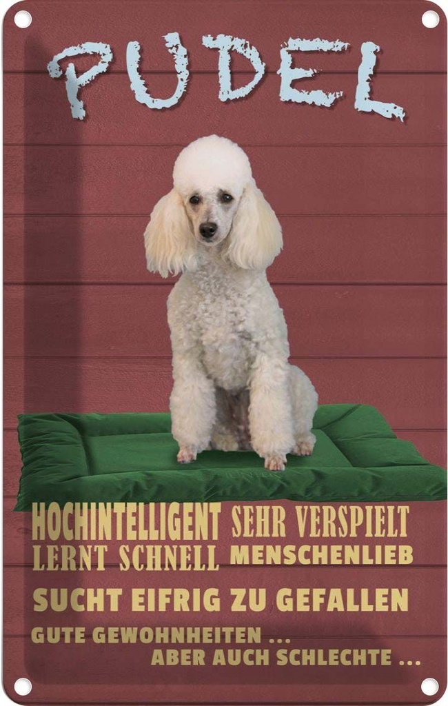 [LA-112594-2030] Blechschild 30x20 cm Pudel hochintelligent lieb Hund Tier Haustier