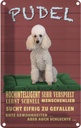 Blechschild 30x20 cm Pudel hochintelligent lieb Hund Tier Haustier