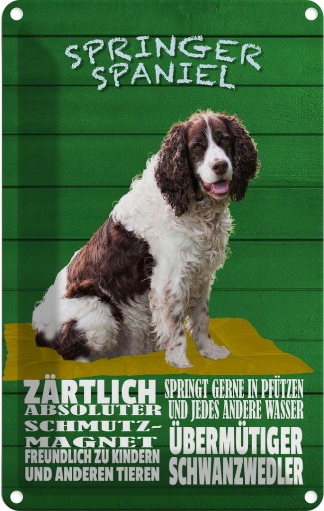 [LA-112595-2030] Blechschild 30x20 cm Springer Spaniel Hund zärtlich Tier Haustier