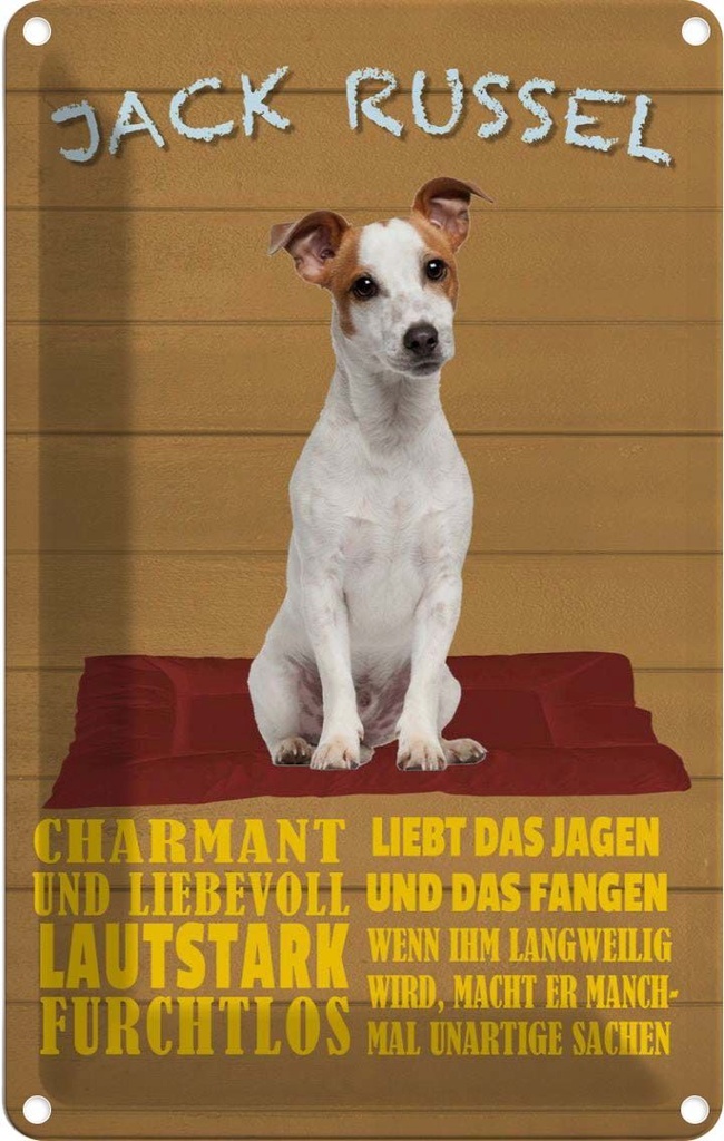[LA-112602-2030] Blechschild 30x20 cm Jack Russel Hund charmant Dekoration