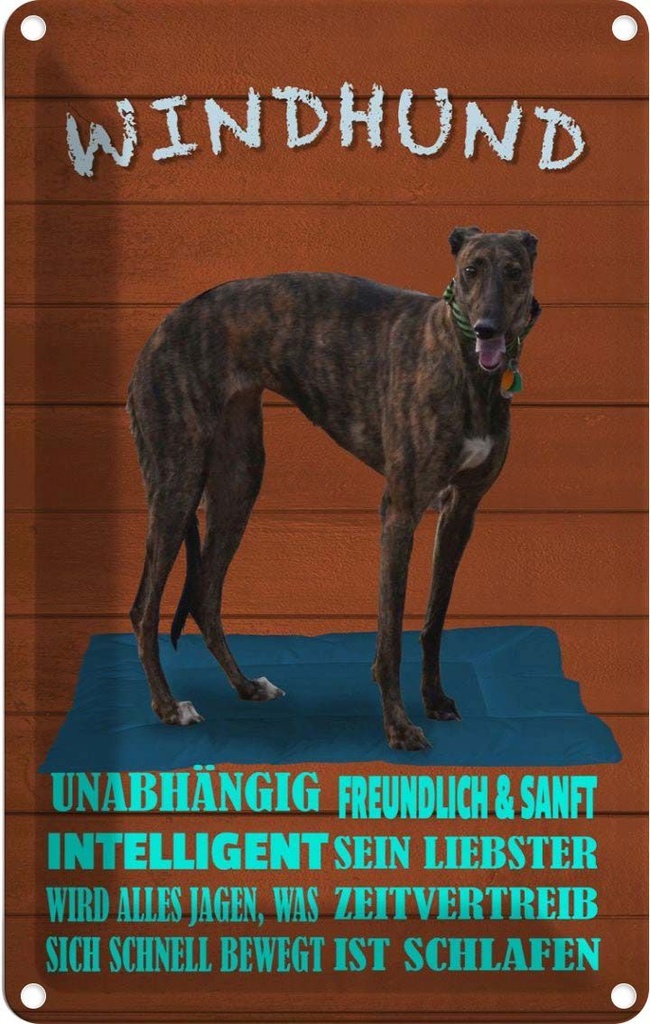 [LA-112603-2030] Blechschild 30x20 cm Windhund Hund intelligent sanft Spruch Zitat