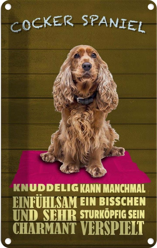 [LA-112605-2030] Blechschild 30x20 cm Cocker Spaniel Hund knuddelig Tier Haustier