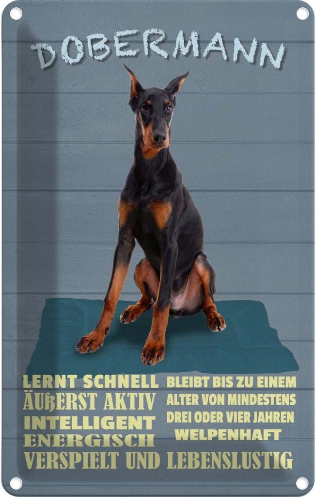 [LA-112608-2030] Blechschild 30x20 cm Dobermann lernt schnell Hund Tier Haustier