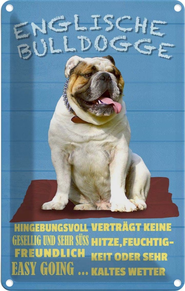 [LA-112613-2030] Blechschild 30x20 cm Englische Bulldogge Hund süss Tier Haustier