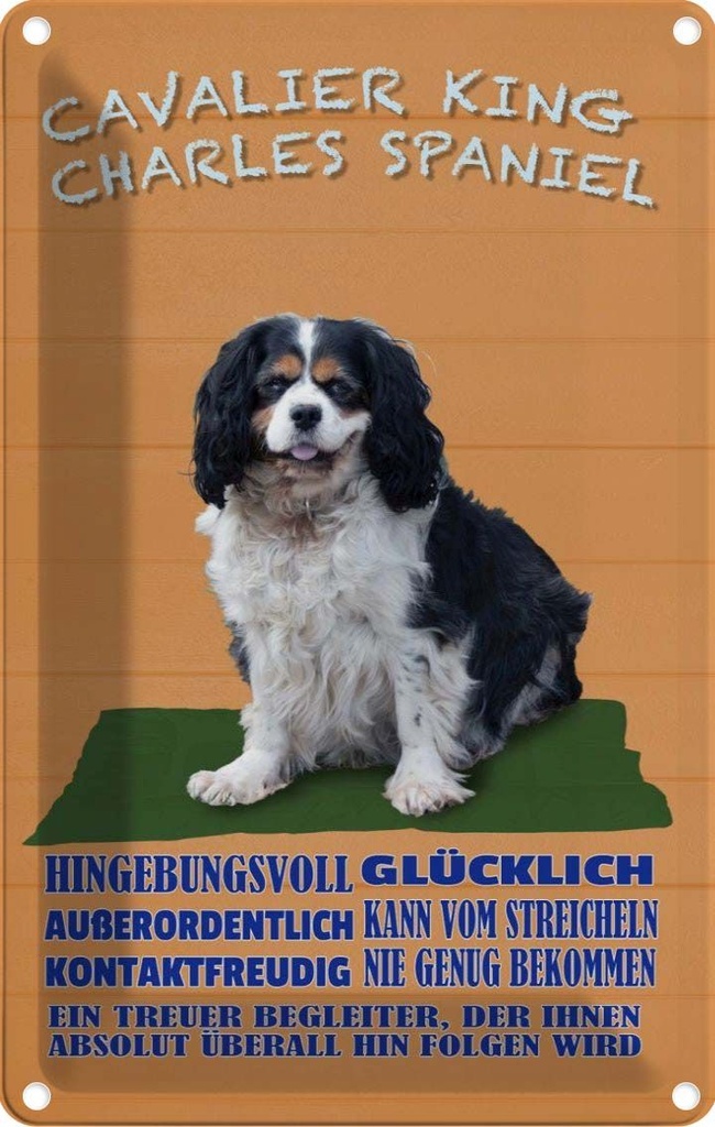 [LA-112614-2030] Blechschild 30x20 cm Cavalier King Charles Spaniel Tier Haustier Hund