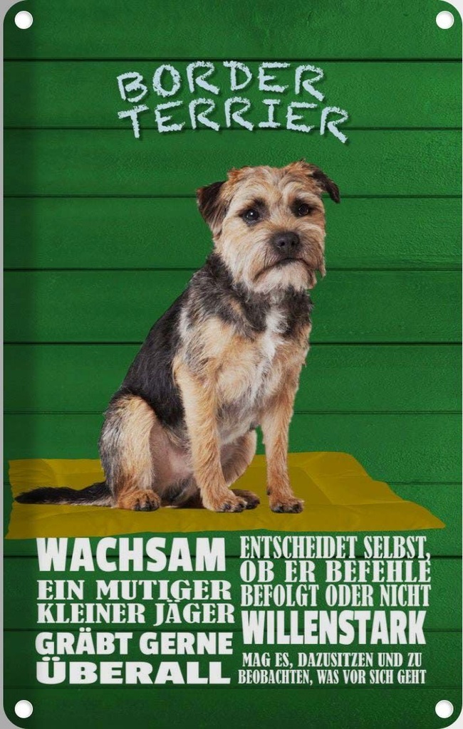 [LA-112620-2030] Blechschild 30x20 cm Border Terrier Hund wachsam Tier Haustier