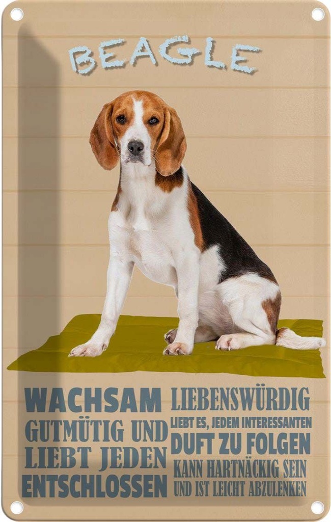 [LA-112621-2030] Blechschild 30x20 cm Beagle Hund gutmütig liebt jeden