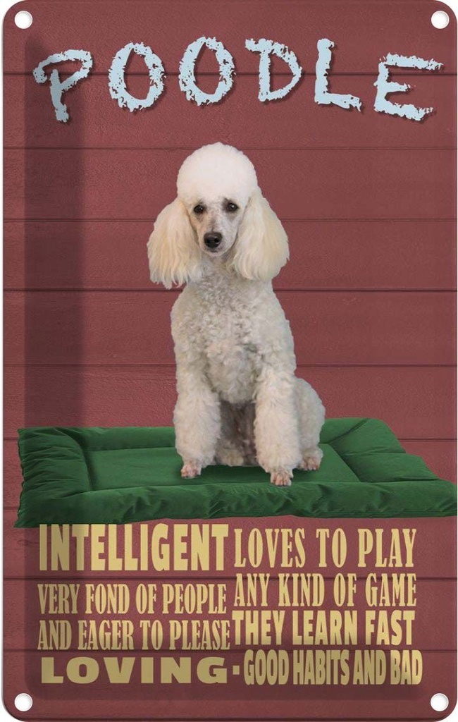 [LA-112623-2030] Blechschild 30x20 cm Hund Poodle loves to play Tier Haustier