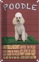Blechschild 30x20 cm Hund Poodle loves to play Tier Haustier