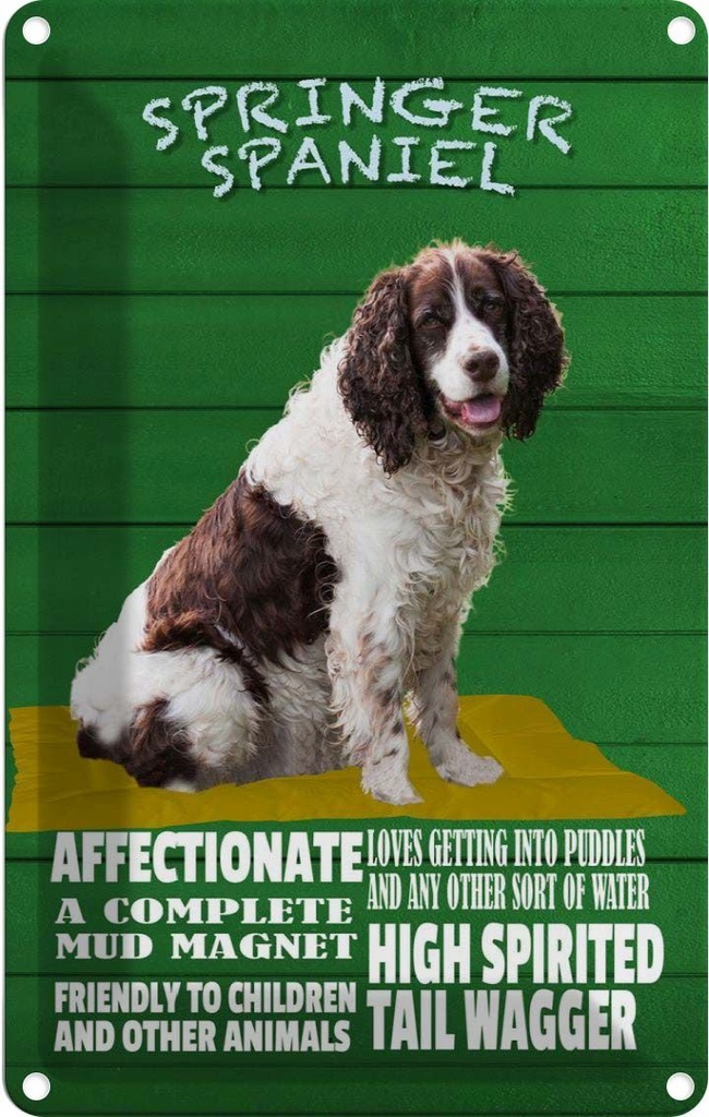 [LA-112624-2030] Blechschild 30x20 cm Springer Spaniel Hund friendly Tier Haustier