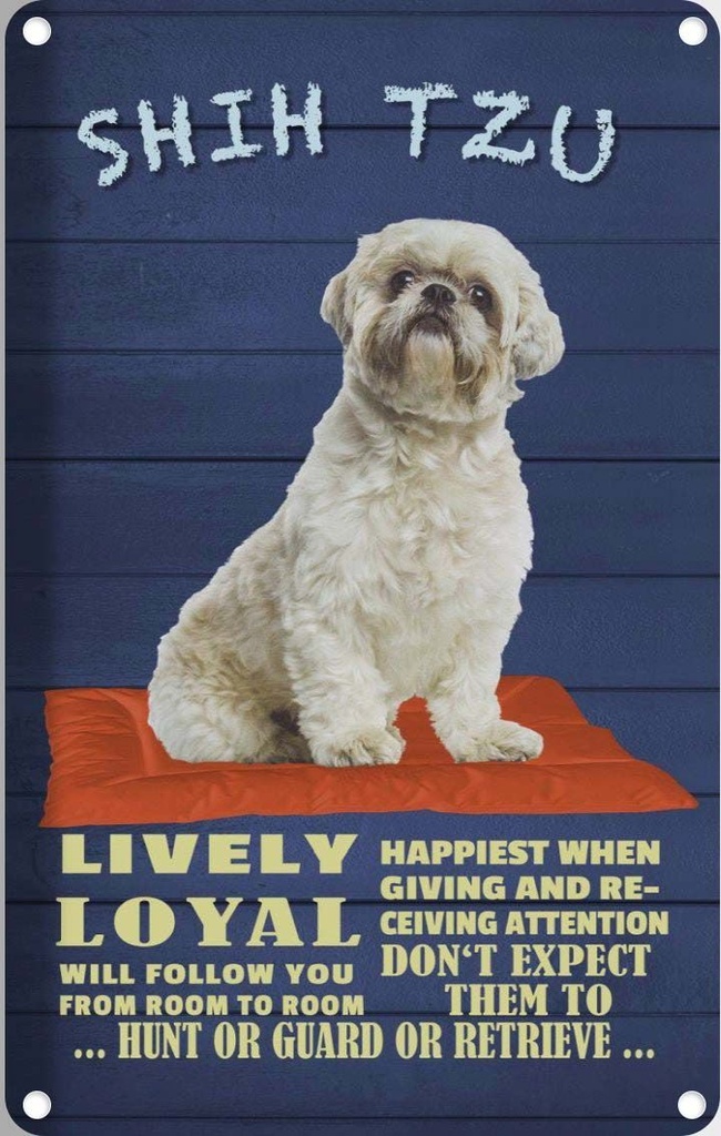 [LA-112625-2030] Blechschild 30x20 cm Shih Tzu Hund lively loyal Tier Haustier