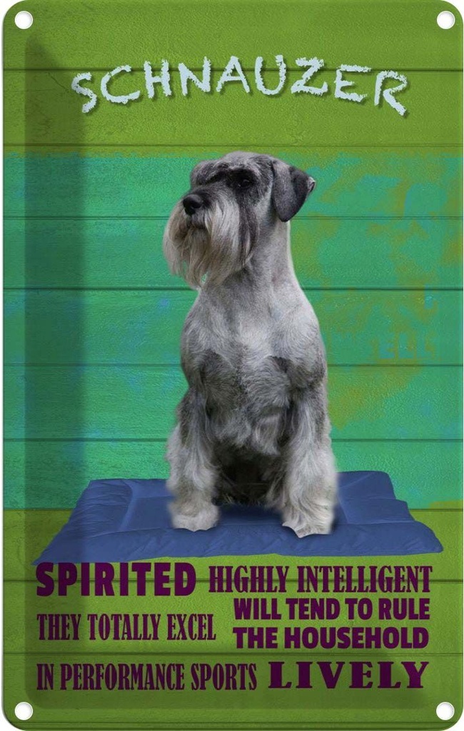 [LA-112626-2030] Blechschild 30x20 cm Schnauzer Hund highly inelligent Tier Haustier