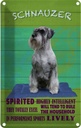 Blechschild 30x20 cm Schnauzer Hund highly inelligent Tier Haustier
