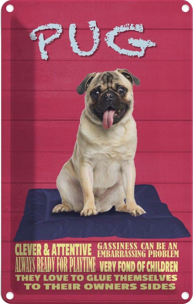 [LA-112628-2030] Blechschild 30x20 cm Pug Hund clever attentive Tier Haustier