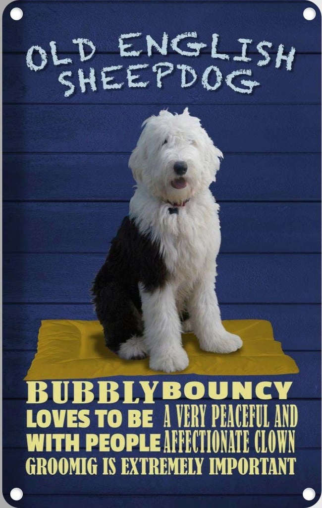 [LA-112629-2030] Blechschild 30x20 cm Old English Sheepdog Hund bubbly Tier Haustier