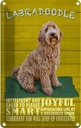 Blechschild 30x20 cm Labradoodle Hund will jump up Tier Haustier