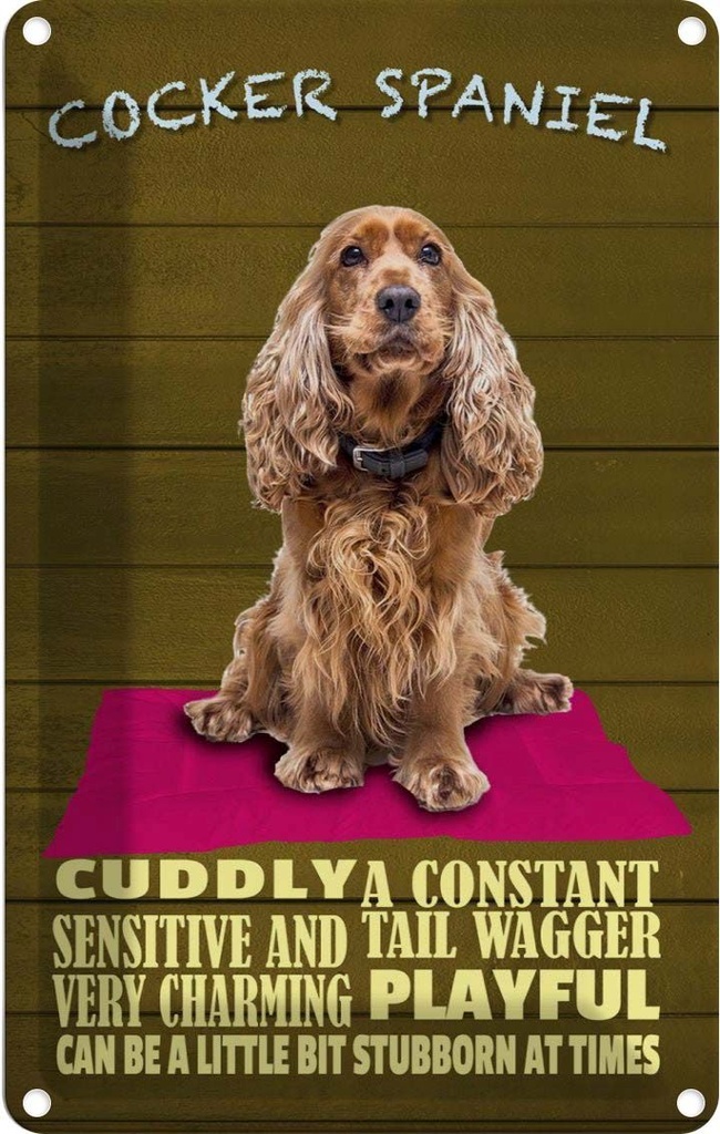 [LA-112633-2030] Blechschild 30x20 cm Cocker Spaniel Hund cuddly Tier Haustier