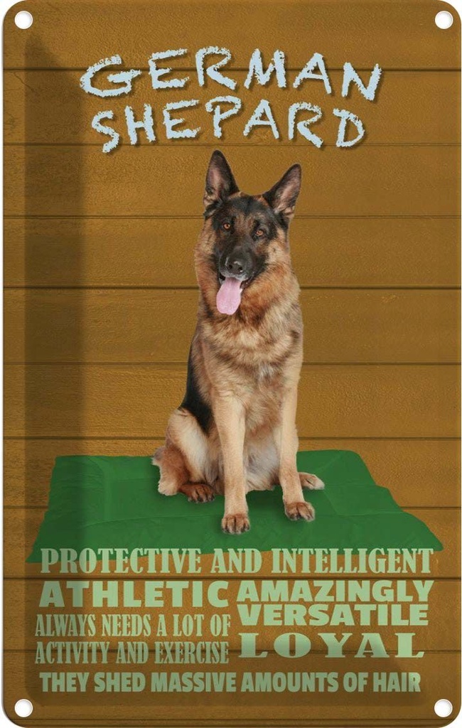 [LA-112634-2030] Blechschild 30x20 cm German Shepard Hund athletic Tier Haustier