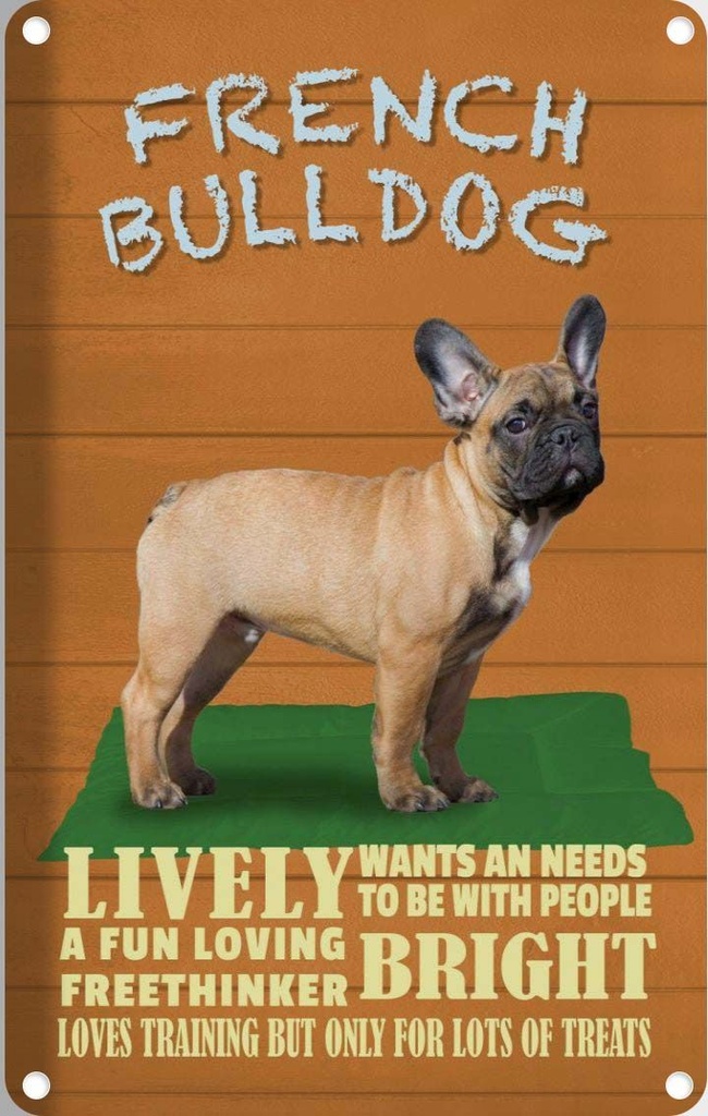 [LA-112635-2030] Blechschild 30x20 cm French Bulldog Hund lively Tier Haustier