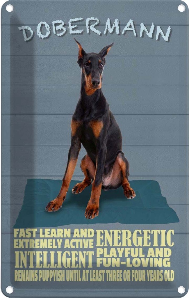[LA-112636-2030] Blechschild 30x20 cm Dobermann Hund fast learn and Tier Haustier