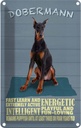Blechschild 30x20 cm Dobermann Hund fast learn and Tier Haustier